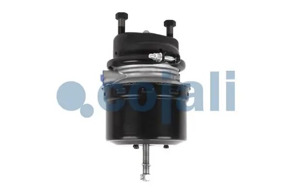 Энергоаккумулятор MERCEDES тип 16/24 (дисковый тормоз) COJALI 2251516 COJALI