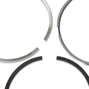 PEUGEOT PARTNER TEPEE(B9) (2008>) 800109010000 KOLBENSCHMIDT