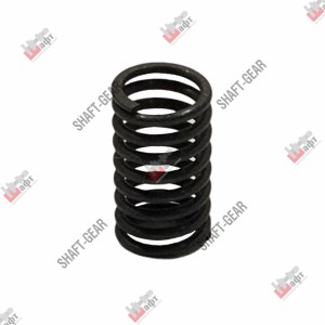 Пружина AZ2229250004 SHAFT