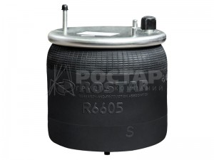 Рессора пневматическая (стальной стакан) R6606DFS02 (4561NP02) R6606DFS02 ROSTAR