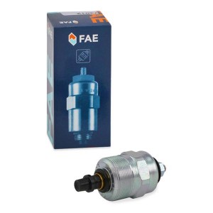 клапан запорный!\ Audi, VW, Fiat, BMW, Ford, Peugeot, Renault 85> 73012 FAE