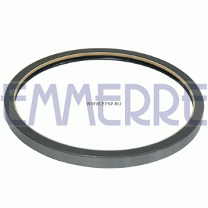 Сальник IVECO ступицы задней внутренний (180х200х12(13.4)) EMMERRE 101512 EMMERRE