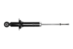 Амортизатор задний, GAS F22GR0056 F22GR0056 CWORKS