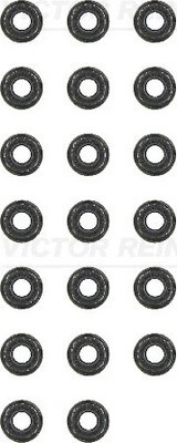 VAG/ GM/ CITROEN/ PEUGEOT/BMW К/КТ 20 шт 12-31306-03 VICTOR REINZ