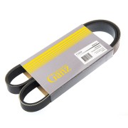 FORD ESCORT /ORION 86-95/CITROEN C4 6PK1000 GRQ01011 GANZ