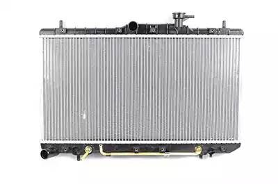 Фильтр воздушный салона HYUNDAI Accent (06-),Elantra (06-) BSG BSG40145003 BSG
