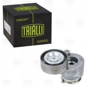 Ролик приводного ремня с натяжным механизмом CM 5272 TRIALLI