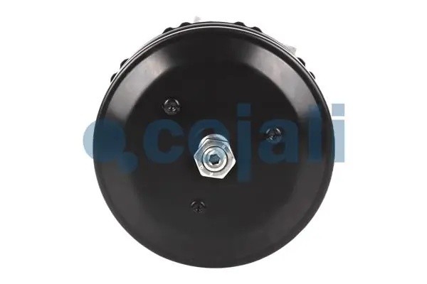 Энергоаккумулятор MERCEDES тип 16/24 (дисковый тормоз) COJALI 2251516 COJALI