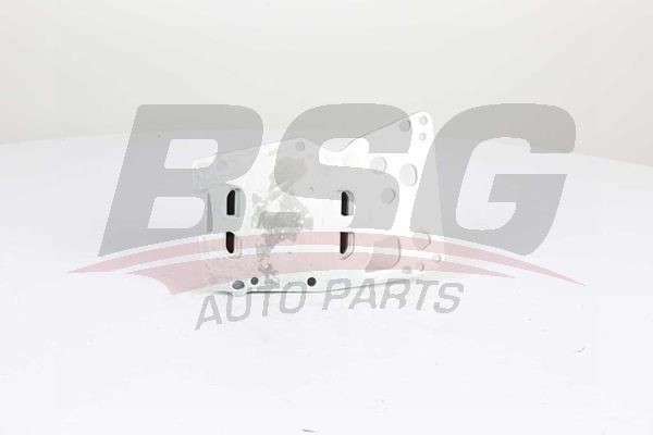 Шестерня мотора стеклоочистителей FORD Transit (06-) в сборе BSG BSG30840019 BSG