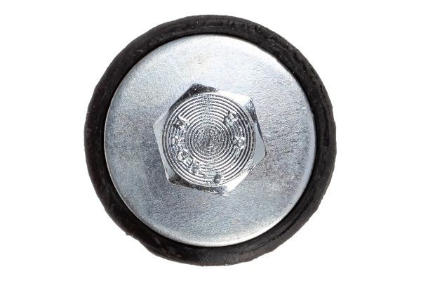 тяга стабилизатора заднего! Ford Focus 98-04/C-Max 03> Z29046 ZENTPARTS