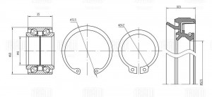 Подшипник ступицы Suzuki Jimny (98-) перед. (кмпл:подш./стоп.кольц.2шт./сальн.)  CS 2474 TRIALLI