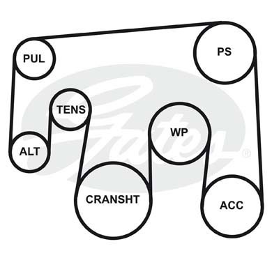 Поликлиновой ремень 6PK2413 (8653-10490) 6-PK-2413 GATES