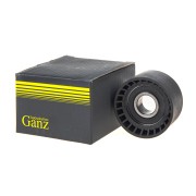 MB 6.0L+3.0CDI 2 шт на авто GIE37366 GANZ
