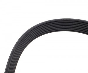 Ремень приводной поликлиновой 8PK795 SHACMAN SHAANXI вентилятора, генератора MOV 612600090600MX MOVELEX