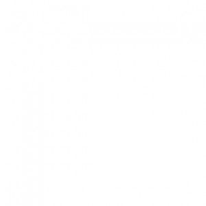 Суппорт тормозной задн лев Audi 100/A6 2.0-2.5TD 92-97 PBRC009 PBRC009 PATRON