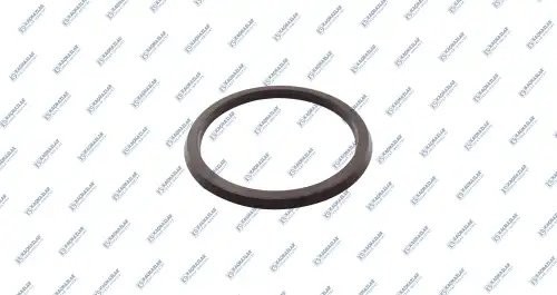 Уплoтнитeльнoe кoльцo  2шт K030929 KACMAZLAR