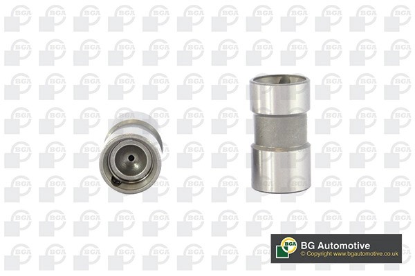 гидрокомпенсатор!\ Seat Arosa, Skoda Fabia, VW Lupo 1.0/1.4 98> HL6349 BG AUTOMOTIVE