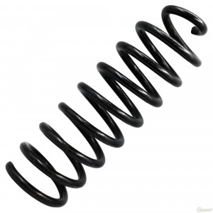 Пружина подвески задней  2шт RG8200708061 RIGINAL