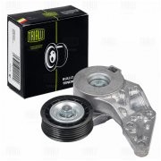 Ролик привод. ремня VW Golf IV (97-)/Passat B5 (96-) 2.3i/2.8i/3.2i (с натяж. ме CM5339 TRIALLI