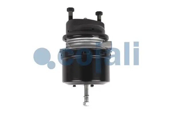 Энергоаккумулятор MERCEDES тип 16/24 (дисковый тормоз) COJALI 2251516 COJALI