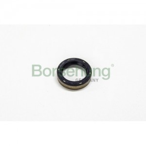 сальник АКПП !20,5x28x7\ VW Golf V/Passat 03> B12192 BORSEHUNG