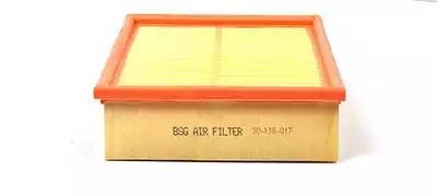 Фильтр воздушный FORD Focus (04-) BSG BSG30135017 BSG