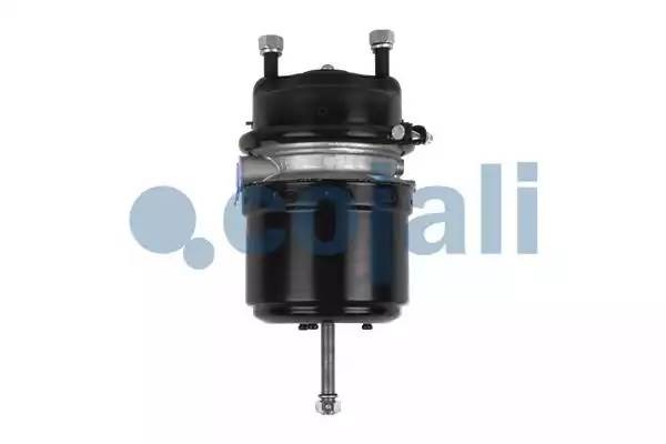 Энергоаккумулятор (дисковый тормоз) прав. TYPE 24/24 2251513 COJALI