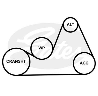 Поликлиновой ремень 6PK1210 (8653-10244) 6-PK-1210 GATES