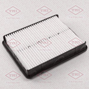 HYUNDAI SONATA VI (2010>)/ KIA OPTIMA III (2010>) TBC1189 TATSUMI