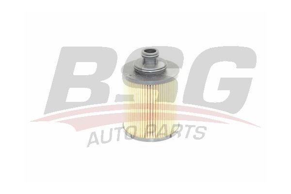 Фильтр масляный FIAT Doblo,Punto OPEL Astra H BSG BSG25140003 BSG