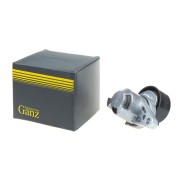 RENAULT CLIO/ KANGOO/ LAGUNA/ MEGANE GIE37369 GANZ