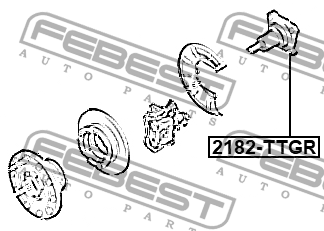 Цапфа задняя FORD TRANSIT 06-14 2182-TTGR 2182TTGR FEBEST