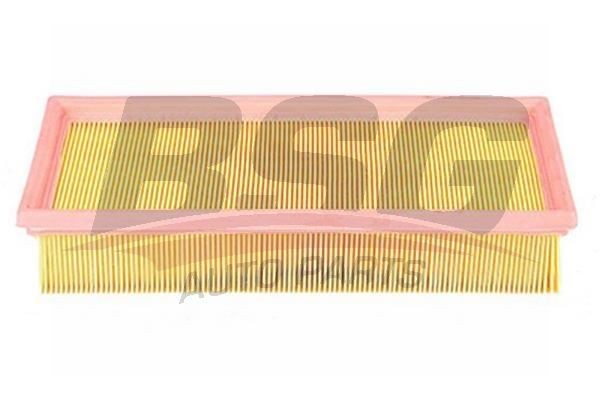 Фильтр воздушный BMW 5 (E34) (M50,M52,S38) BSG BSG15135003 BSG