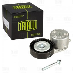 Ролик привод. ремня Ford Mondeo IV (07-) 1.8d (с натяж. мех.) (CM 5457) CM5457 TRIALLI