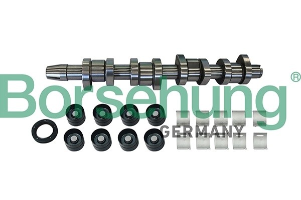 ремкомплект распредвала!\ VW Passat/Golf/Touran 2.0TDi BMP/BMM/BVD 05> B11307 BORSEHUNG