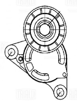 Ролик привод. ремня BMW 5 F10 (10-)/5 G30 (16-) 2.0d [B47B20] (с натяж. мех.) (C CM5706 TRIALLI