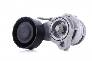 Натяжитель ремня BMW E60 534025210 534 0252 10 INA