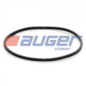 кольцо уплотнительное! ступицы 163x173 Scania 56605 AUGER