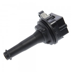 Катушка зажигания FORD S-Max (06-) MEGAPOWER 370-13-019 MEGA POWER