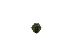 Датчик давления RENAULT топлива BOSCH 0281006187 BOSCH