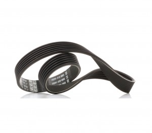 AUDI/CITROEN/PEUGEOT/SEAT/VW 6PK738 6PK736 DAYCO