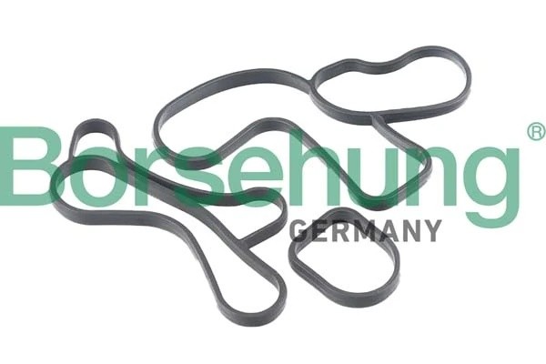 Прокладка BMW 1 (F21) радиатора масляного BORSEHUNG B12530 BORSEHUNG