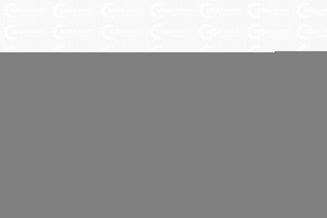 POLO (SED RUS) (2011>) JH20POL11021BR JORDEN