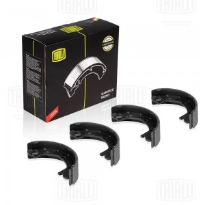 Колодки торм. Iveco Daily (99-)/(06-)/(11-) барабан. ст. торм. 170x42 (GF 1665) GF 1665 TRIALLI