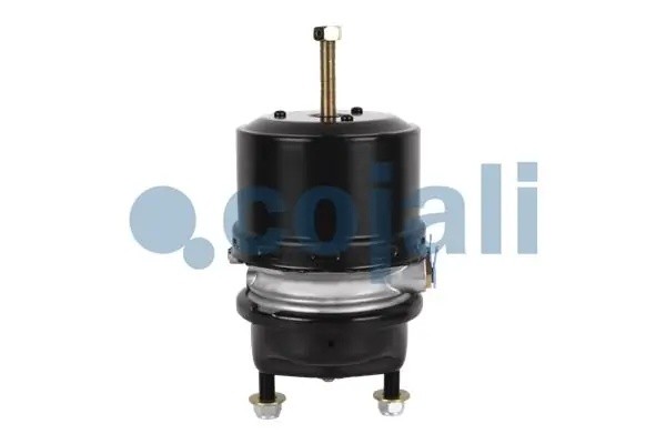 Энергоаккумулятор TYPE20/24 DAF/BPW/MB аналог Knorr BS9404 2351306 COJALI