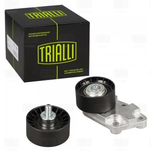 Ролик ГРМ (натяжной/опорный) 2 шт CM6229 TRIALLI