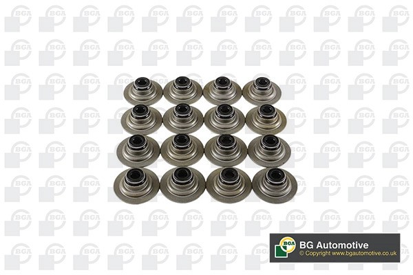 к-кт колпачков маслосъемных!\ Rover 25/100/200/400/45/75 1.4-1.8 16V 90> VK5343 BG AUTOMOTIVE