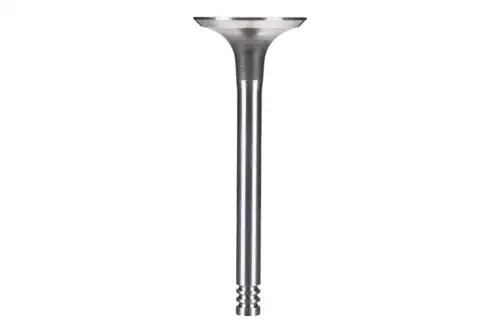 клапан впускной! 36x8x95.55\ VW Golf/Passat/T4 1.9TD/LT 2.4TD 89> Z71453 ZENTPARTS