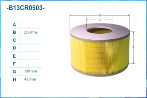 Фильтр воздушный B13CR0503 B13CR0503 CWORKS