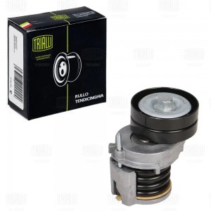 Ролик привод. ремня для а/м VW Golf VI (08-)/Tiguan (08-) 1.4TSi (с натяж. мех.) CM 3048N TRIALLI